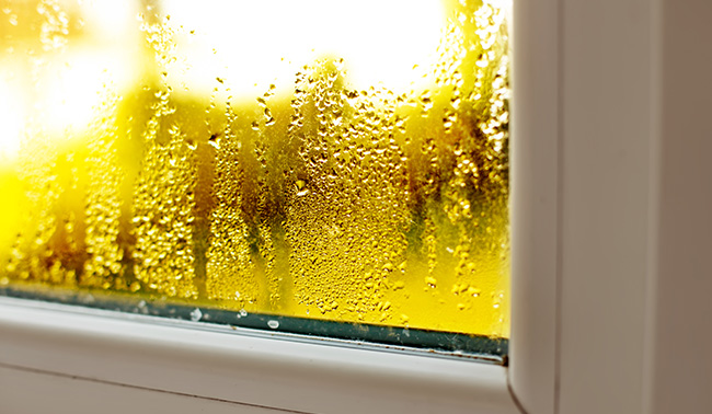 Window with condensation from humidity