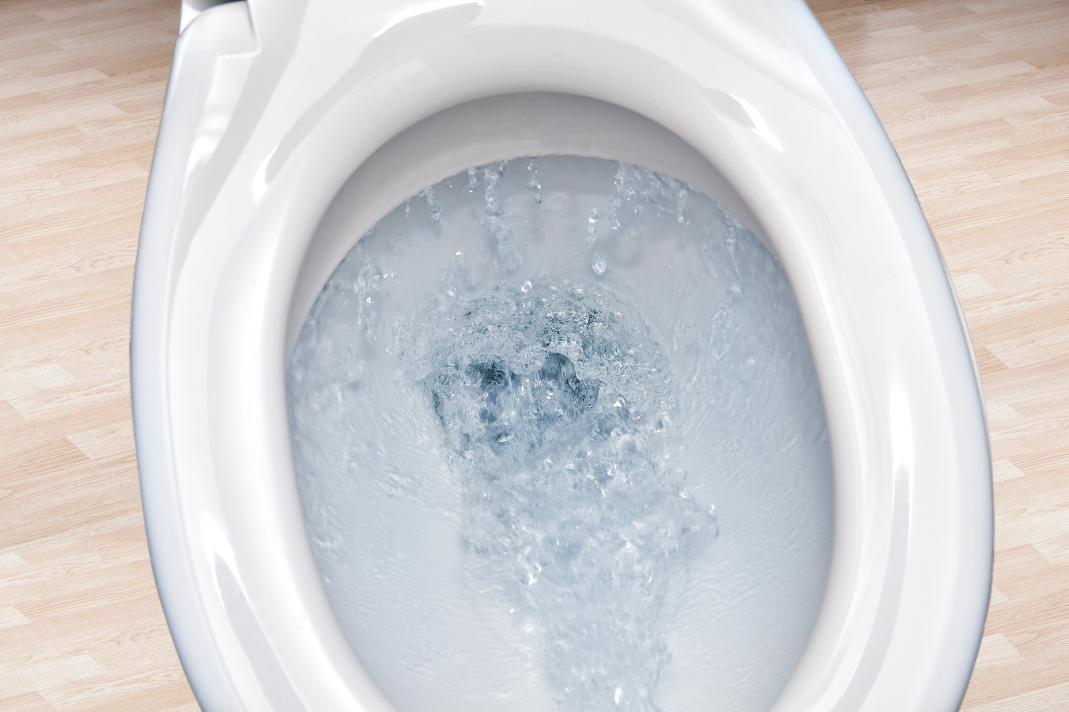 Single-Flush vs. Dual-Flush Toilets