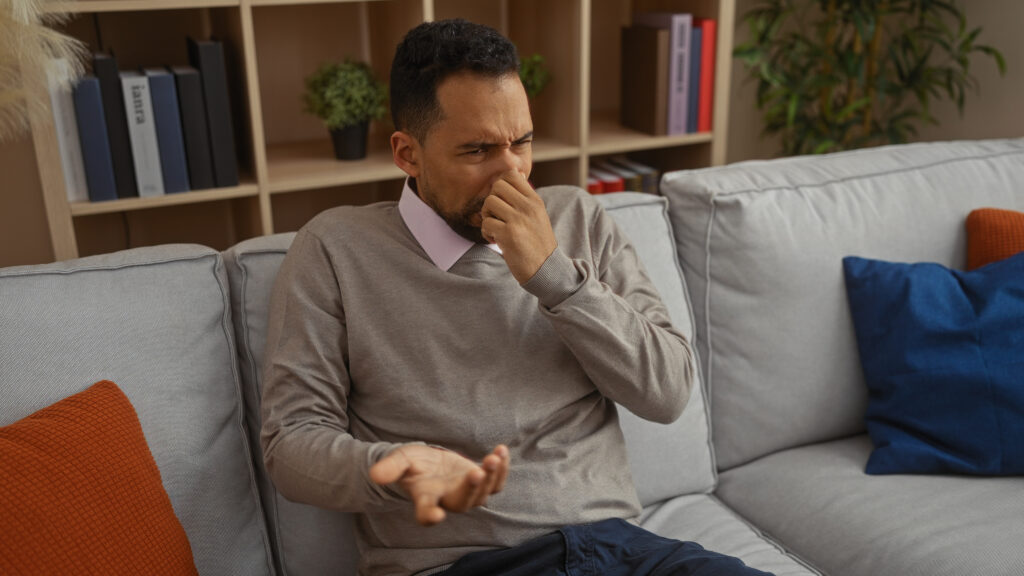 Why Does My Home Scent Musty?